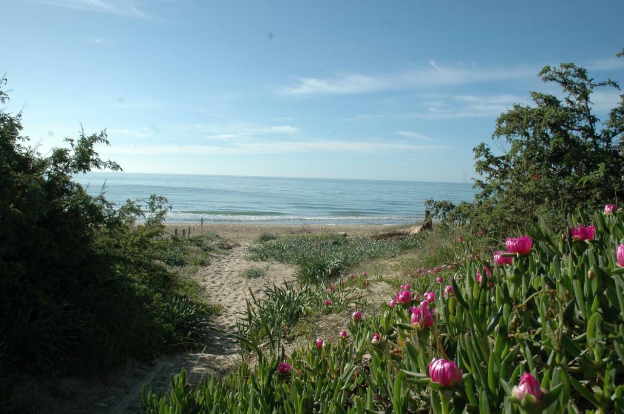 דירות קסטלנטה מרינה Sole E Mare מראה חיצוני תמונה